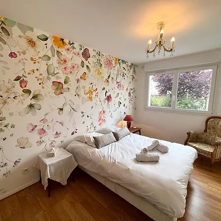 Appartement Le Millesime Vesle Hypercentre 6 Couchages Reims